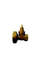 1" Gate Type Pump Valve Female