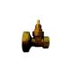 1" Gate Type Pump Valve Female