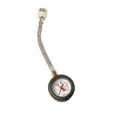 Wet store pressure gauge